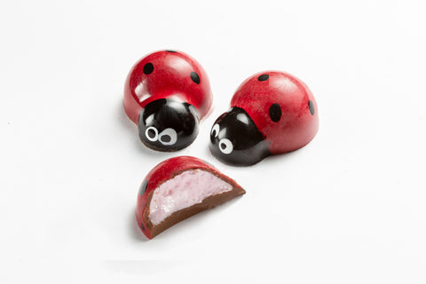 RASPBERRY FLUFF (Box 0f 6, 9, 12 or 18)