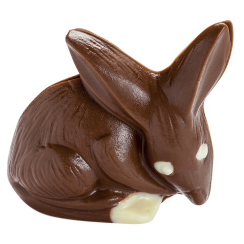 3D BILBY