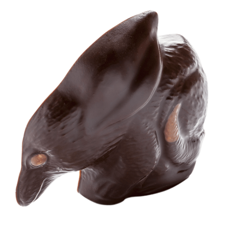 2D BILBY